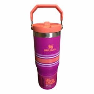 NWT Stanley IceFlow Bottle Flip Straw 30 oz The Varsity IceFlow Tumbler